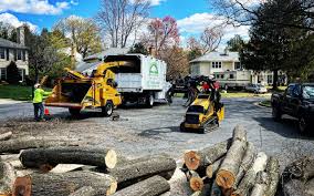 Best Commercial Tree Services  in Maiden, NC